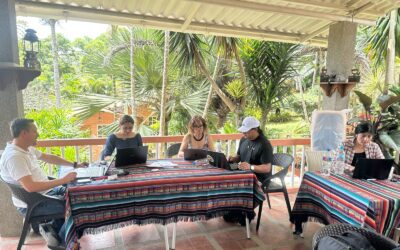 AVANCES DE REDES – PRIMER AÑO