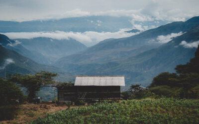 DE MAÍZ Y DE LOBITOS
